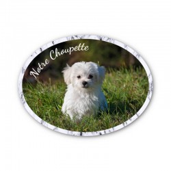 8 x 6 Cm - Medaille Foto...