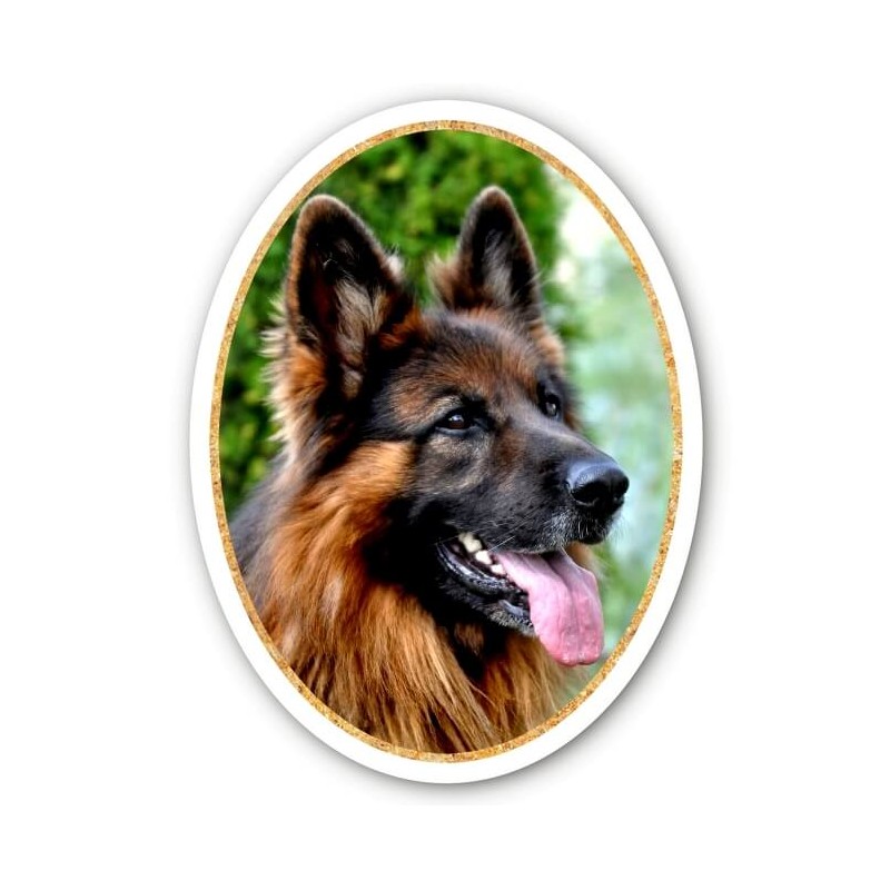 Medaillon funeraire homme foret