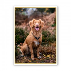 7 x 9 cm - Medaille Foto...