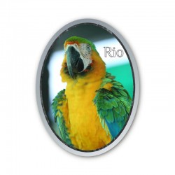 9 x 12 cm - Medaille Foto...