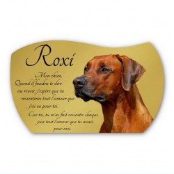 photo plaque funéraire adhésive fond granit gris