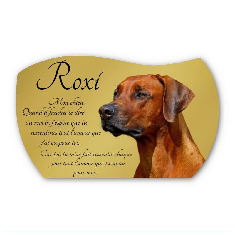 photo plaque funéraire adhésive fond granit gris